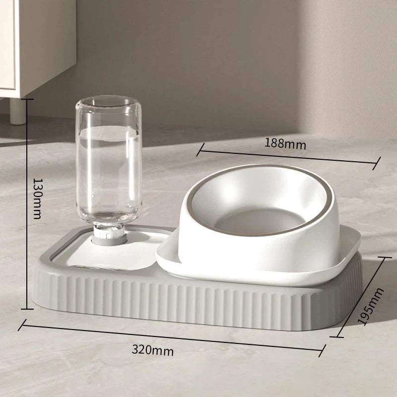Tilted Double Pet Feeding Bowls