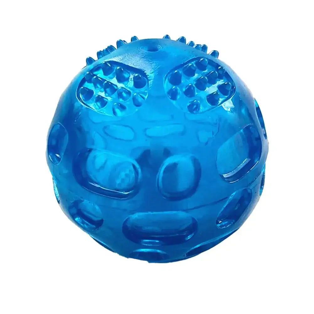 Interactive Squeaky Dog Ball Toy