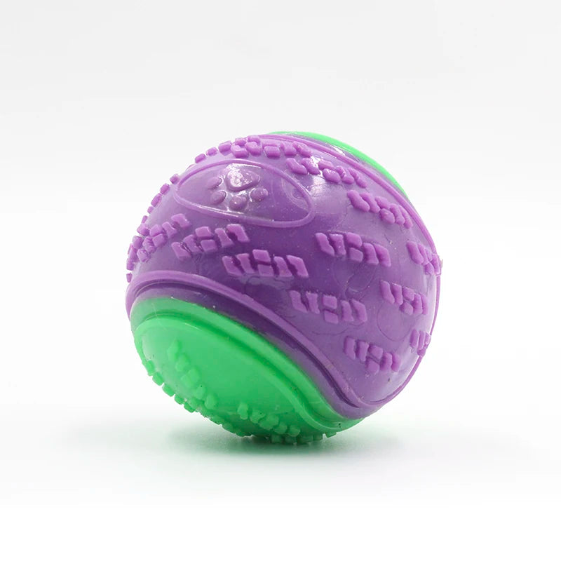 Soft TPR Squeaky Dog Ball Toy