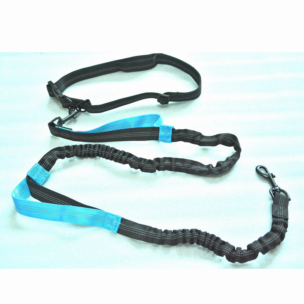 Hands-Free Dog Leash – Reflective Bungee with Waist Belt