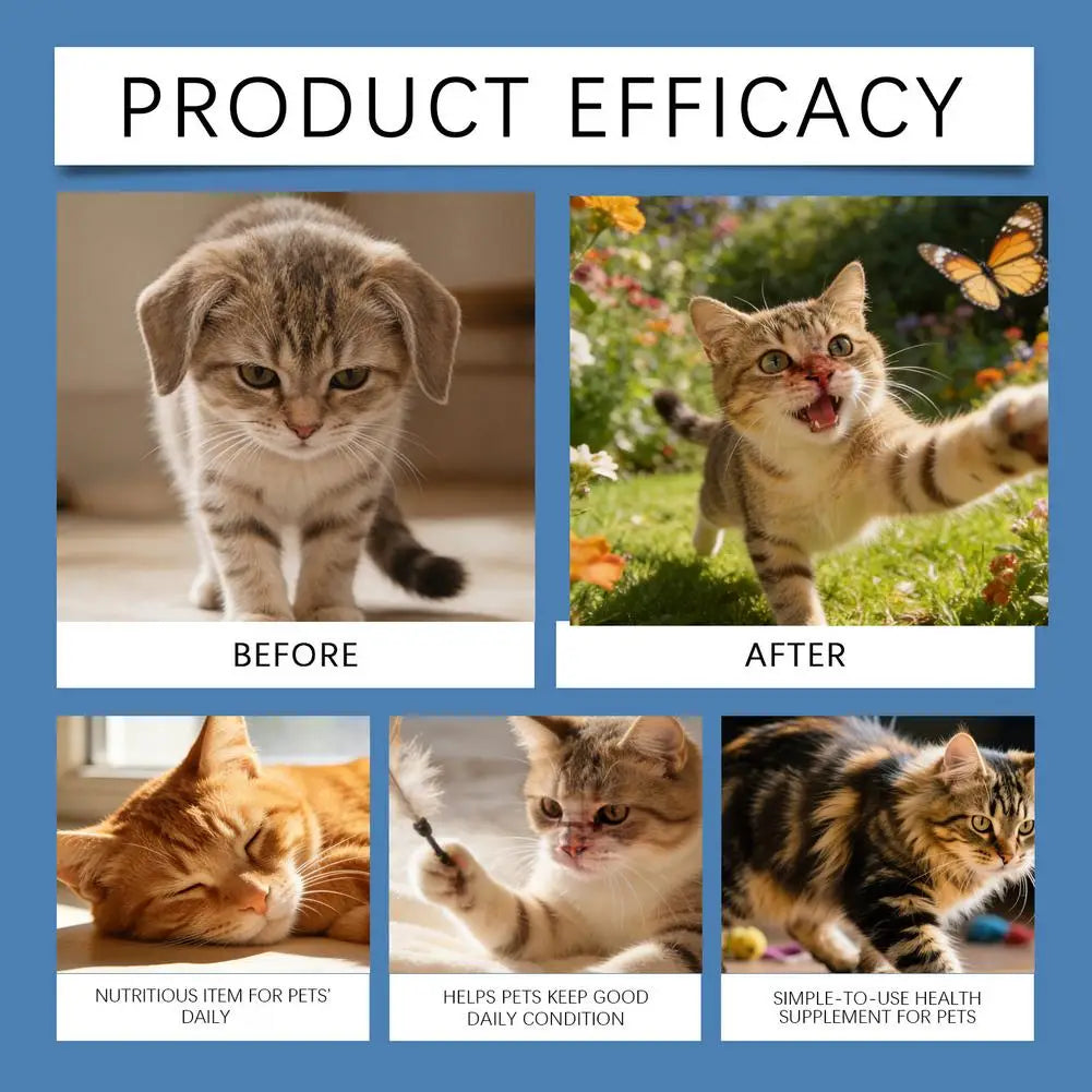 Cat Supplements Taurine Powder For Cats Pure Taurine Supplement Nutritional Powder For Cat Immune System Eye Health Support