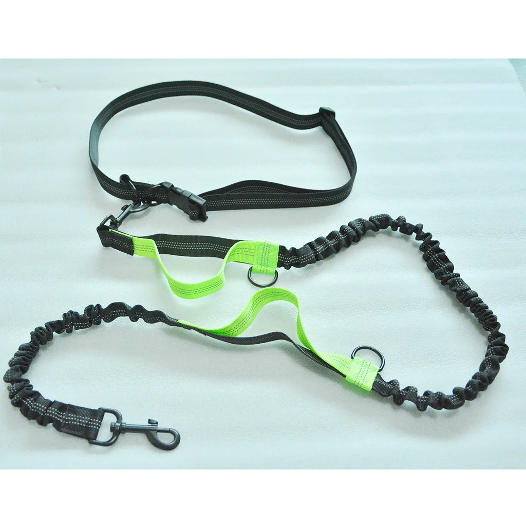 Hands-Free Dog Leash – Reflective Bungee with Waist Belt