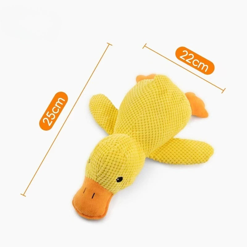 Plush Squeaky Pet Toy for Dogs & Cats