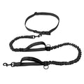 Hands-Free Dog Leash – Reflective Bungee with Waist Belt