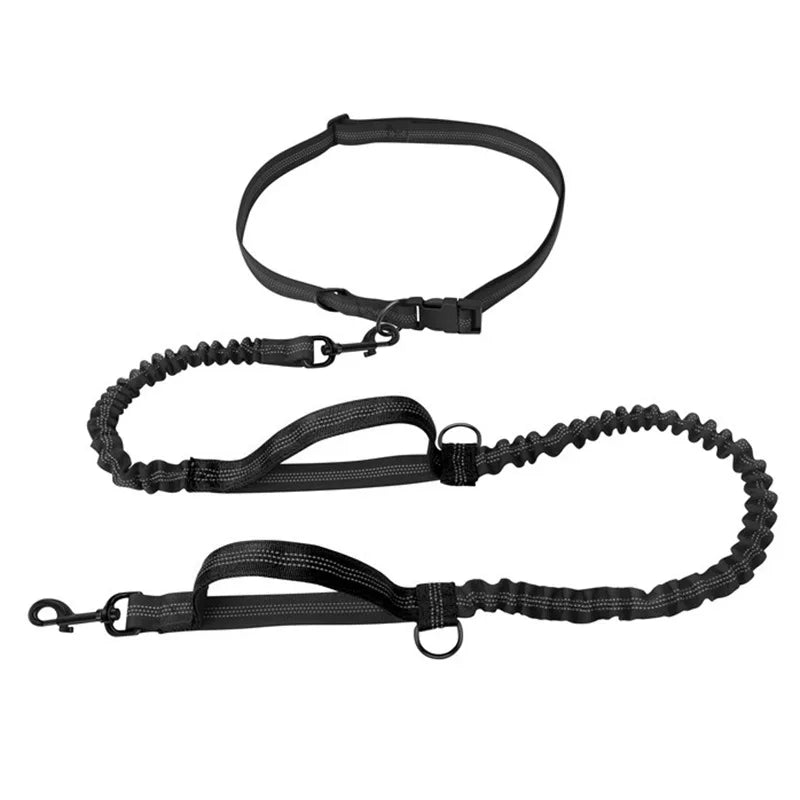 Hands-Free Dog Leash – Reflective Bungee with Waist Belt
