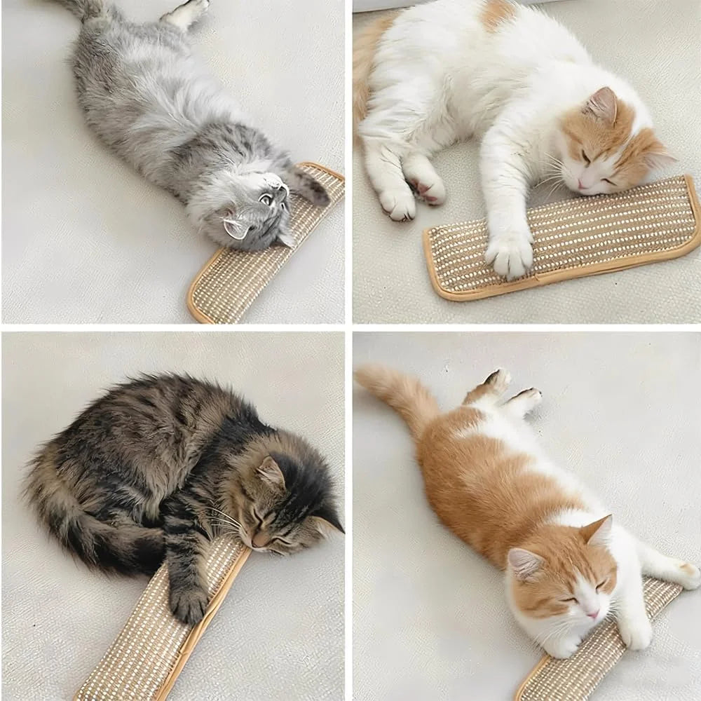 Cat Toy,Interactive Catnip Chew Toy,Durable Catnip Kicker Soft Sisal Pillow with Organic Catnip for Kittens and Adult Cats
