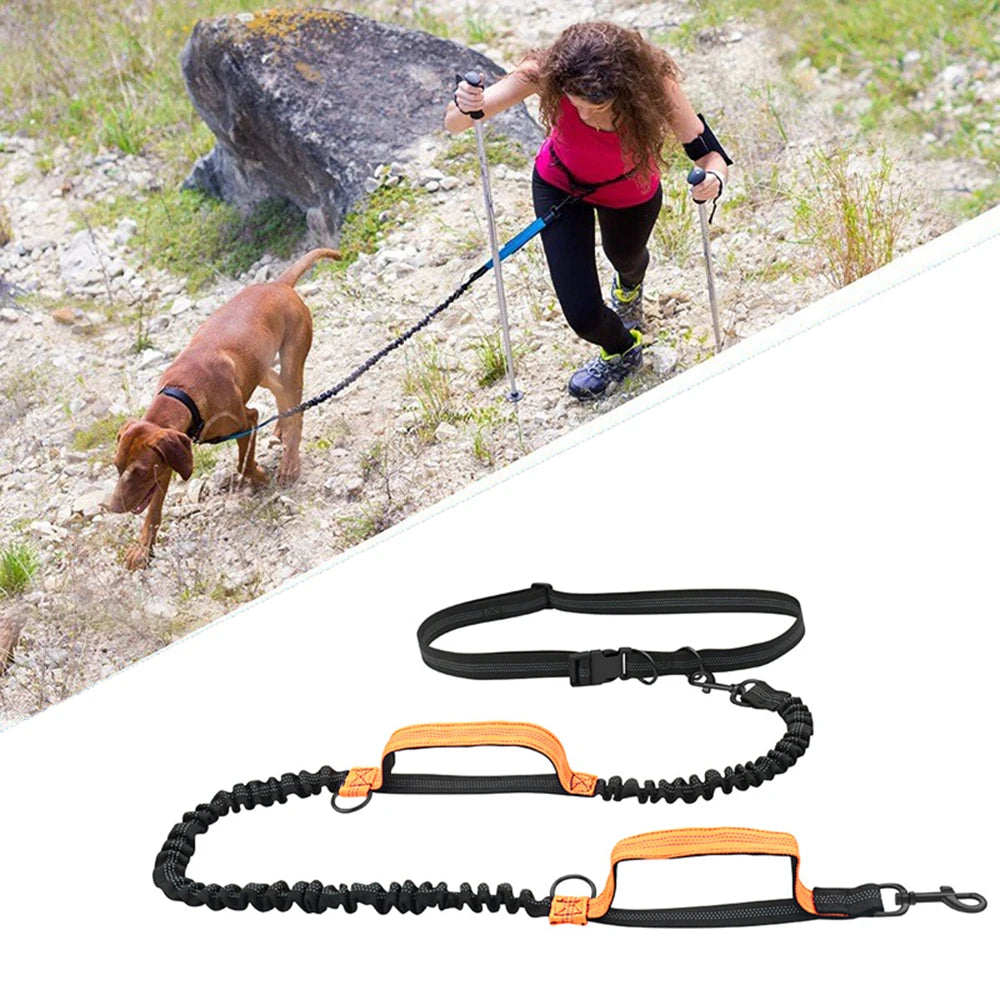 Hands-Free Dog Leash – Reflective Bungee with Waist Belt