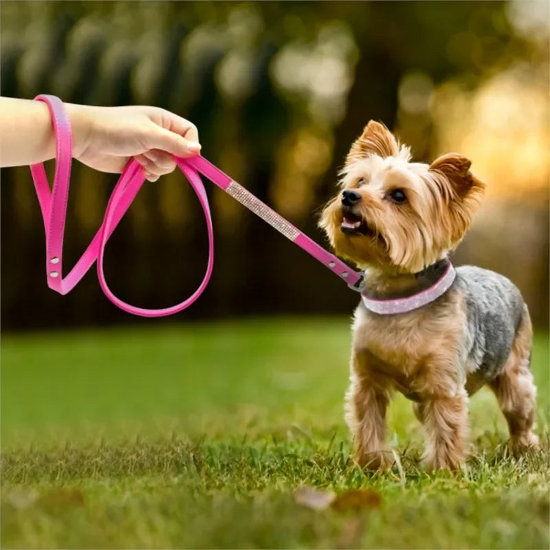 Rhinestone Suede Dog Collar - Soft Glitter Collar for Small Dogs and Cats (XS-L)