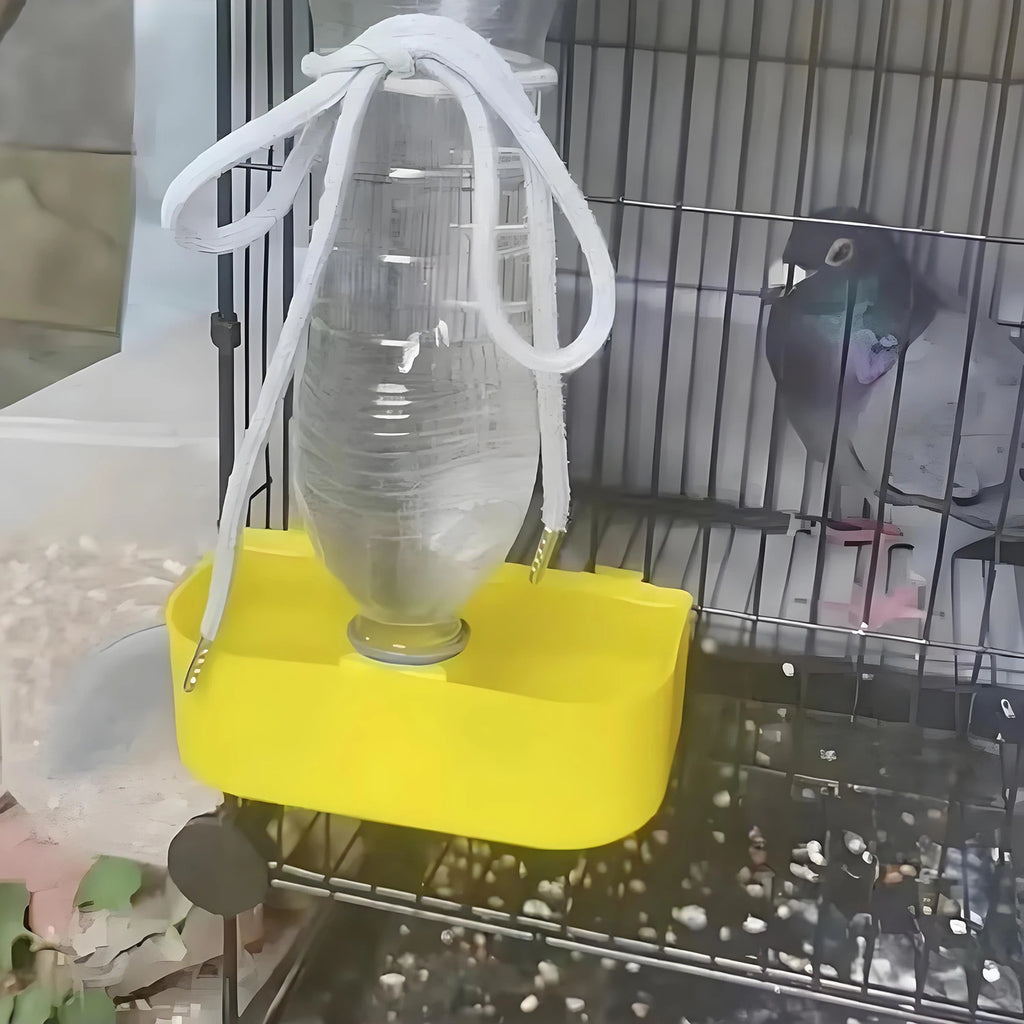 Birds Drinker Automatic Water Dispenser for Parrot Pigeon Quail Chicken Chick Bird Cage Hanging Drinking Cup Bird Care Supplies