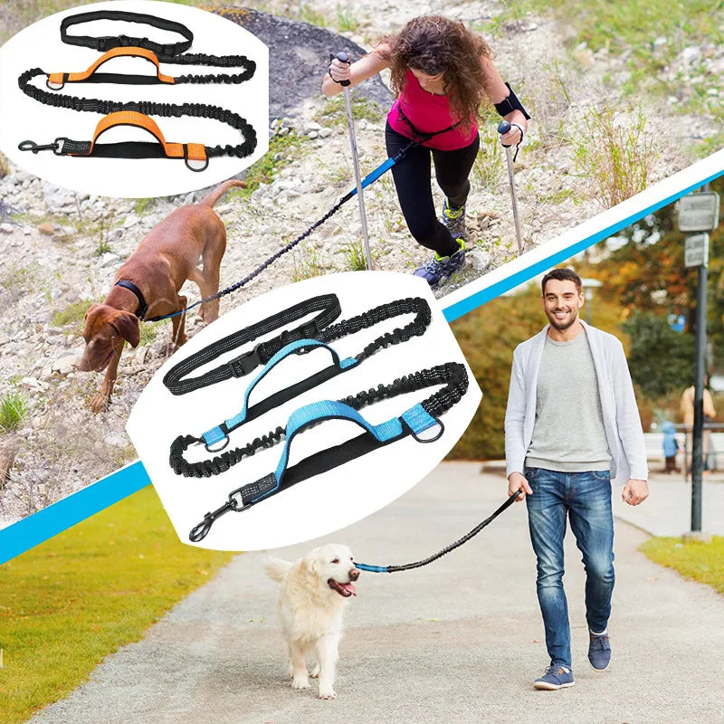 Hands-Free Dog Leash – Reflective Bungee with Waist Belt
