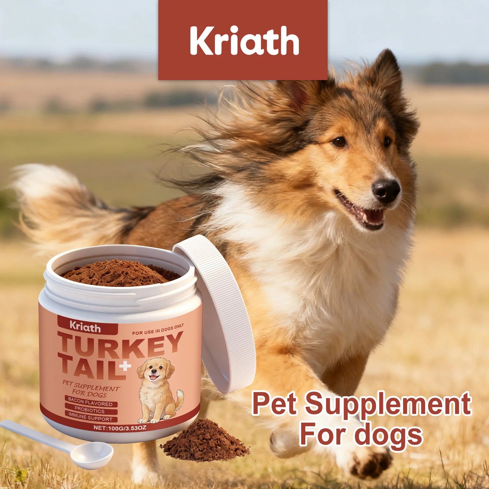 Dog Nutrition Health Supplement Powder Improve Pet Vitality Balance Intestinal Flora Skin Coat Wellness Boost Body Defense 100g