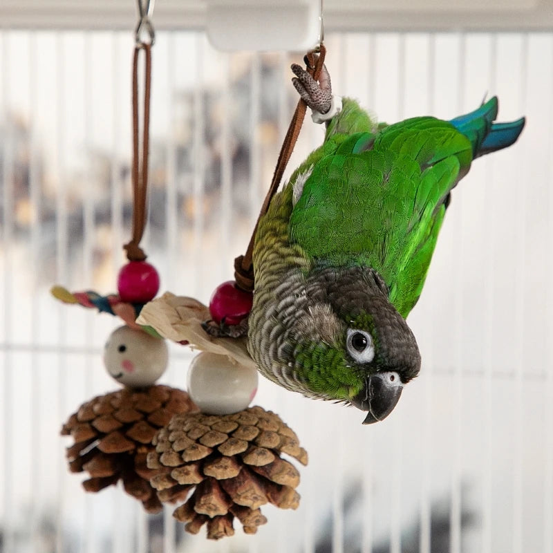 Birds Chewing Toy Wood Colorful Birds Swing Toy Creative Rotating Parrots Toy for Pet Owners and Stores Y5GB