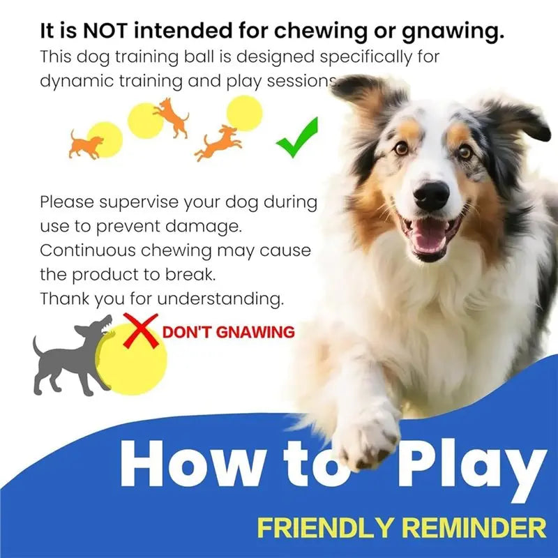 25cm Inflatable Herding Ball for Dogs