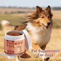 Dog Immune Support Supplement – Daily Immunity Defense, Promotes Healthy Immune System Function for Breeds, Easy-Mix Powder 100g