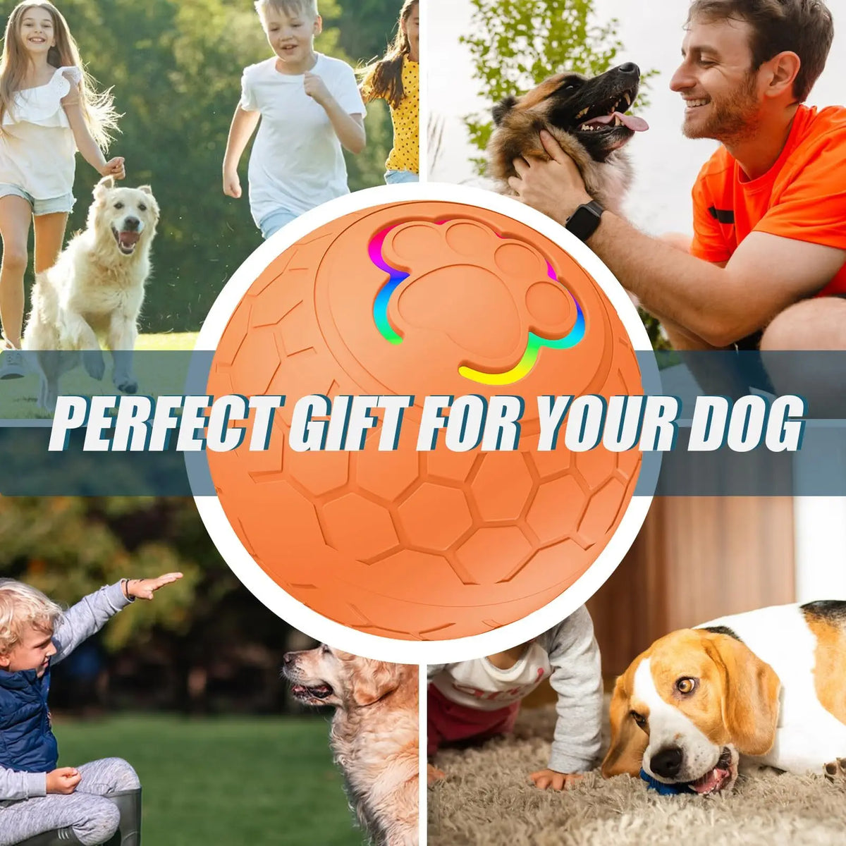 Interactive Dog Ball Toy – Auto-Rolling & USB Rechargeable