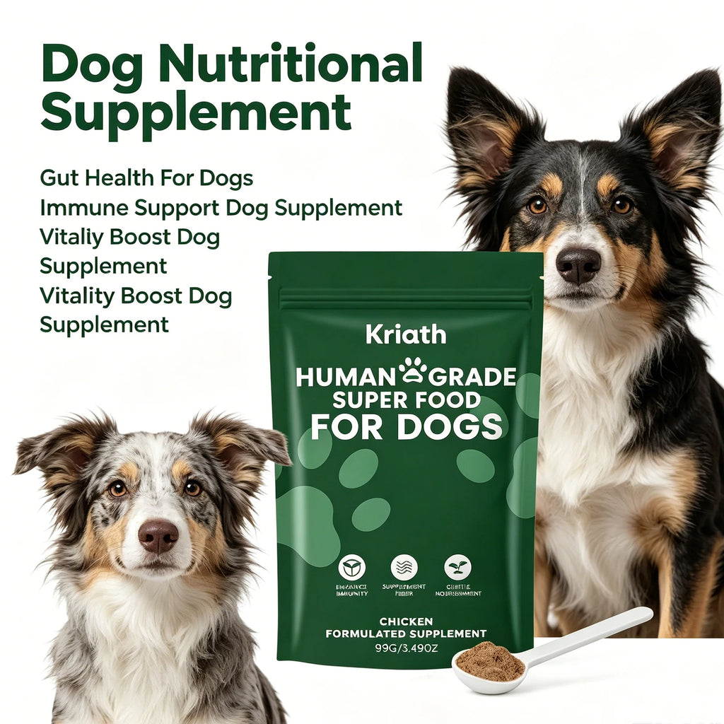 Dog Nutrition Powder Promote Digestion Balance Gut Flora Boost Vitality Improve Health Support Immune System Daily Easy Absorb