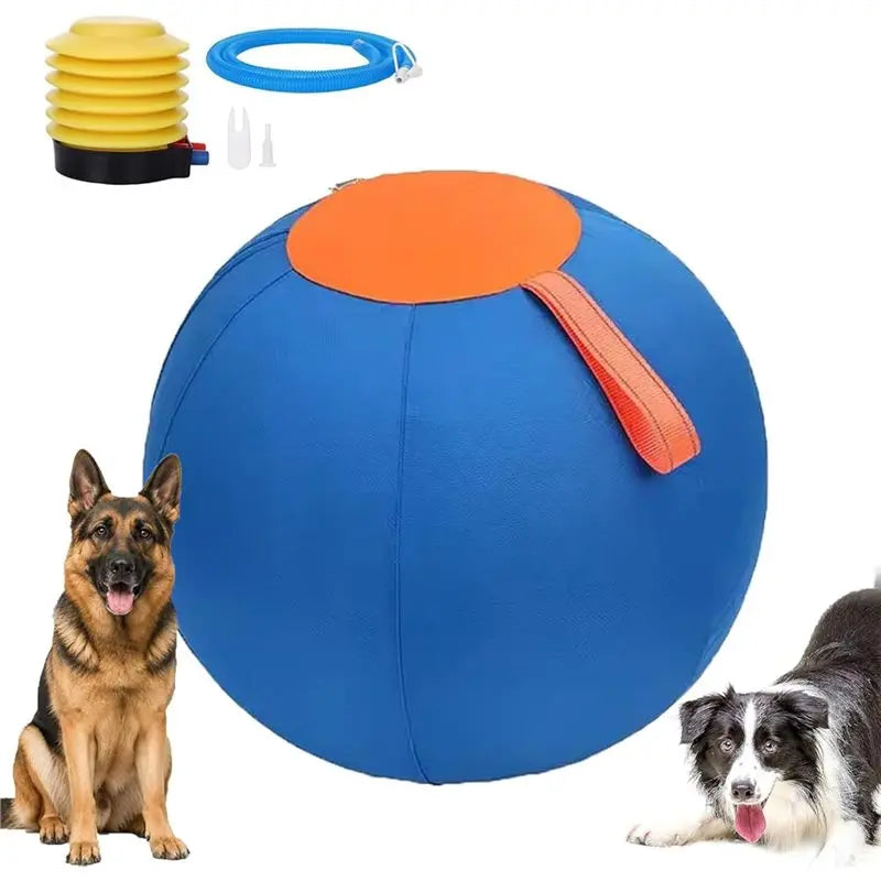 25cm Inflatable Herding Ball for Dogs