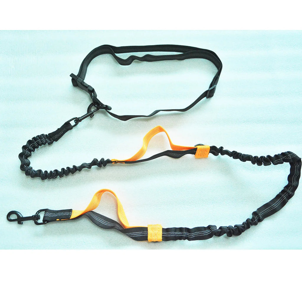Hands-Free Dog Leash – Reflective Bungee with Waist Belt