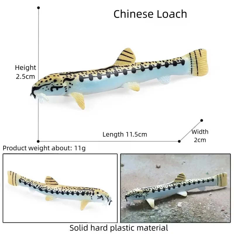 Realistic Fish Aquarium Figurine