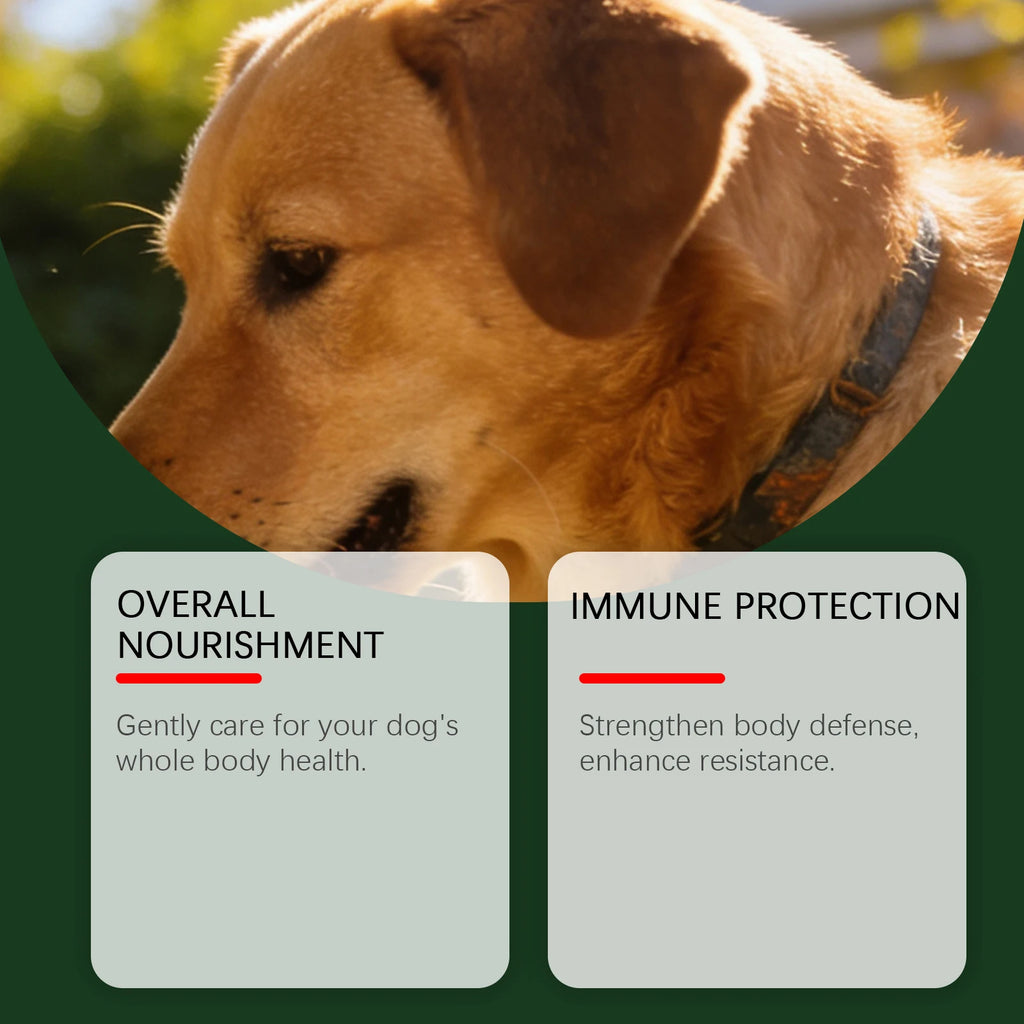 Dog Nutrition Powder Promote Digestion Balance Gut Flora Boost Vitality Improve Health Support Immune System Daily Easy Absorb