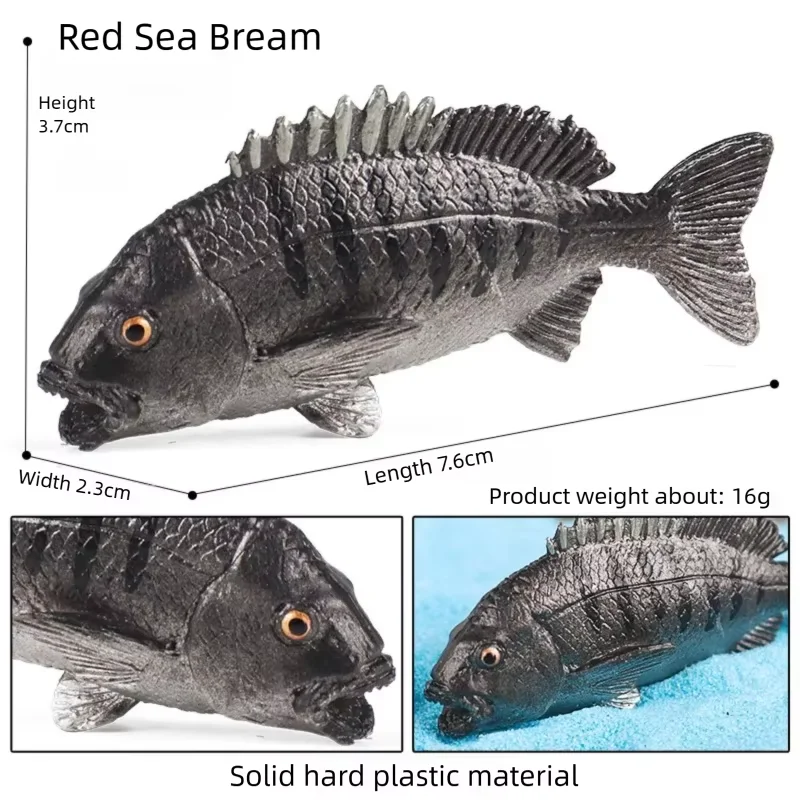 Realistic Fish Aquarium Figurine