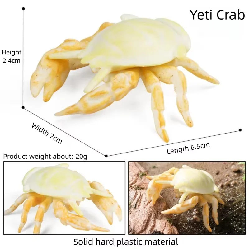 Realistic Fish Aquarium Figurine