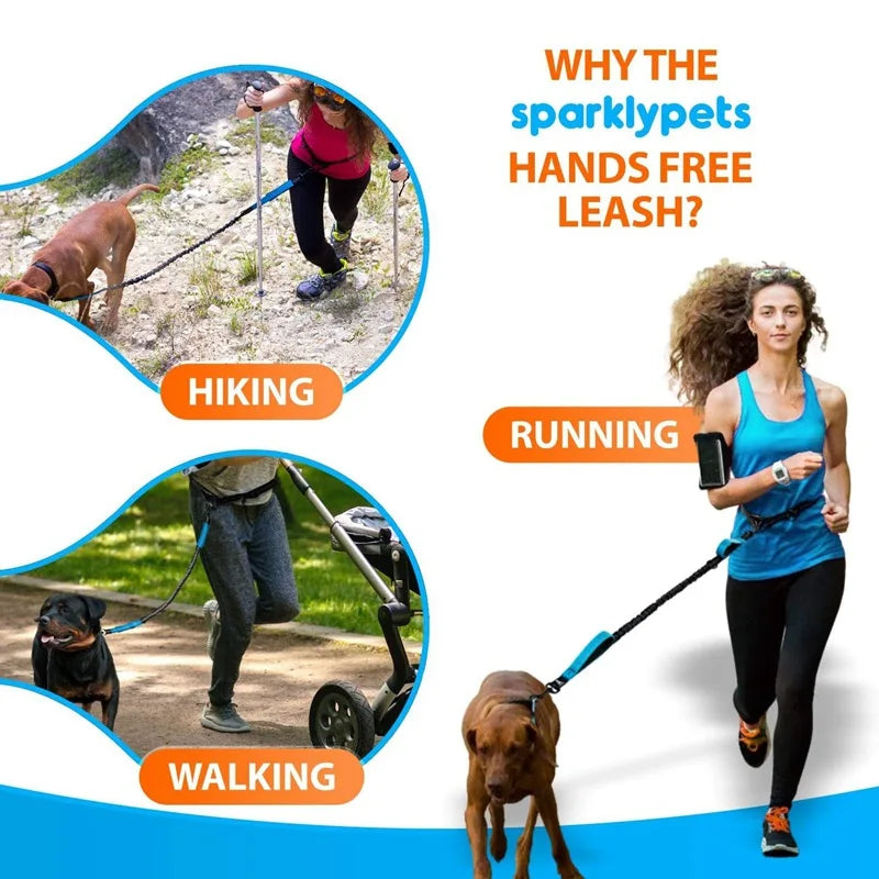 Hands-Free Dog Leash – Reflective Bungee with Waist Belt