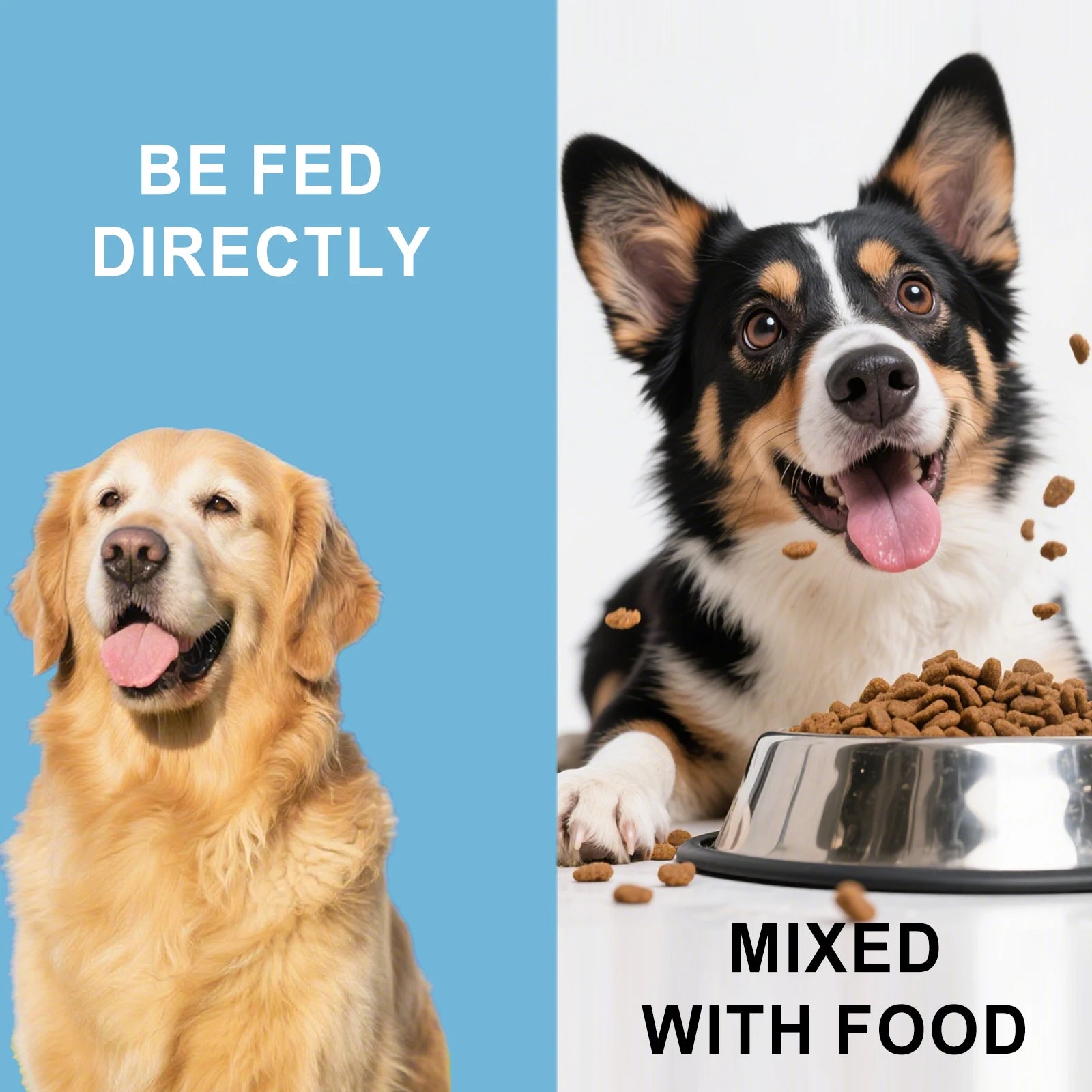 Dog Nutrition Powder Promote Digestion Balance Gut Flora Boost Vitality Improve Health Support Immune System Daily Easy Absorb