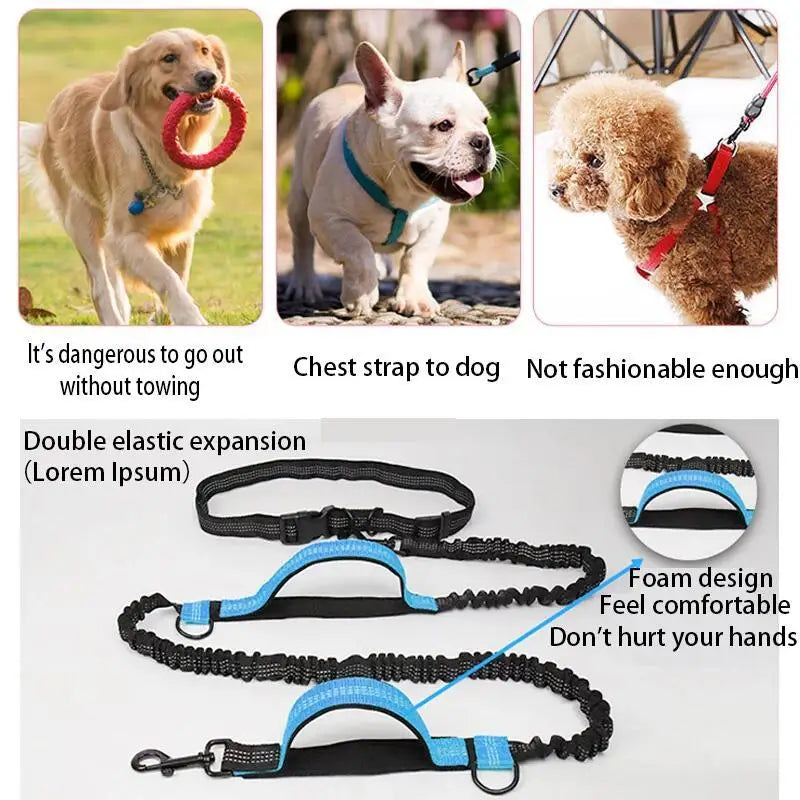 Hands-Free Dog Leash – Reflective Bungee with Waist Belt
