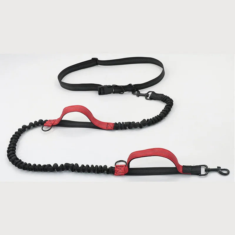 Hands-Free Dog Leash – Reflective Bungee with Waist Belt