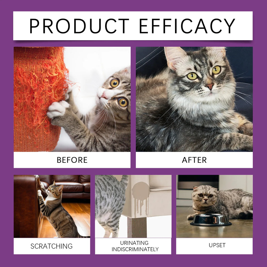 Cat Training Sprays Soothing Mood Prevent Scratching Away From Furniture Household Disorderly Urination Mild Cat Care Supplies