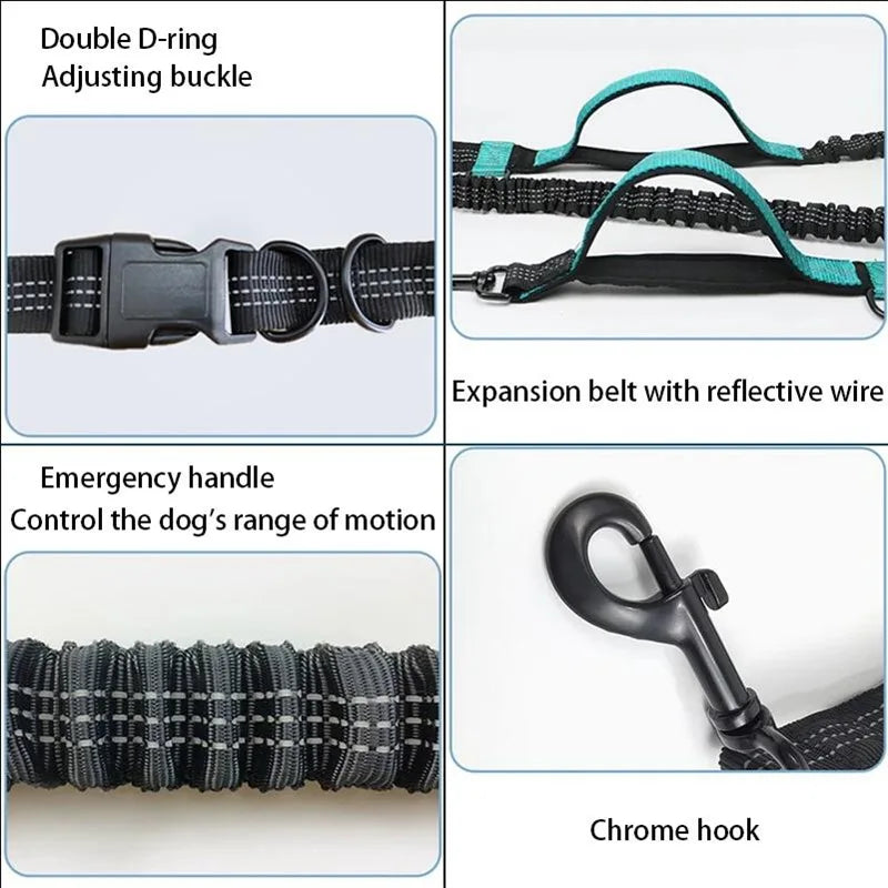 Hands-Free Dog Leash – Reflective Bungee with Waist Belt